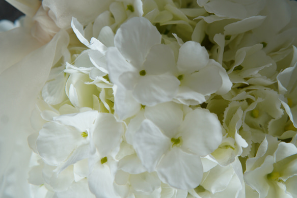 真っ白な紫陽花　ボールブーケ　ウェディングブーケ 