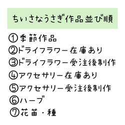 ちいさなうさぎ作品並び順 2枚目の画像