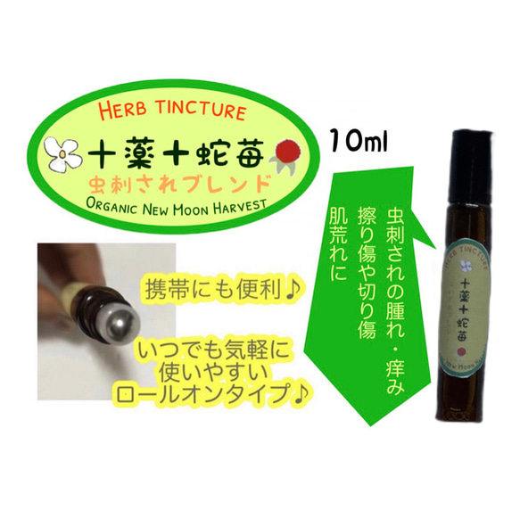 【虫除け・虫刺され・傷・肌荒れに】新月仕込み 十薬・蛇苺エキス 10ml 自然栽培 無添加　ドクダミ　ヨモギ 和薄荷 1枚目の画像