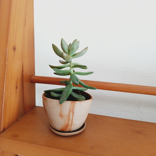 備前焼 楕円植木鉢 一輪挿し・花瓶・花器 aco 通販 15895637｜Creema