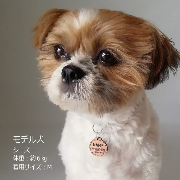 アクリル迷子札 丸型 ブロンズ調（犬猫の名札、ネームプレート） 2枚目の画像