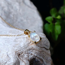 7147eadb645fe503ed07afa5fd3bf5