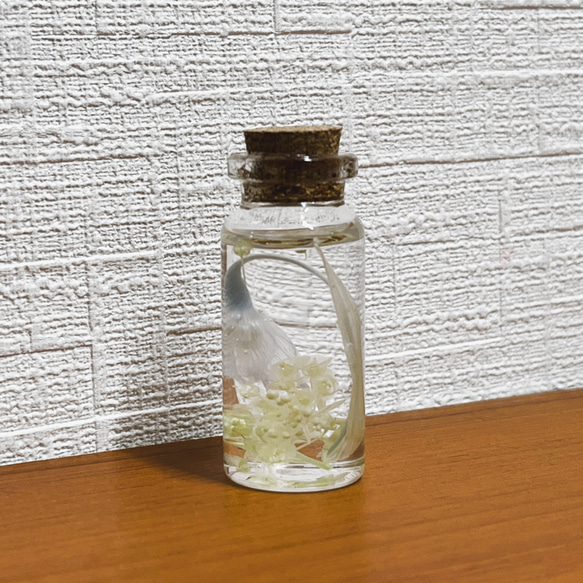 再入荷！【スノーフレーク】ホワイト　プリザーブドフラワー　ハンドメイド素材　アレンジ 人気・おすすめ｜売れ筋商品・話題商品におすすめ 品質チェック済み 安心配送 本日出荷・最短翌日到着