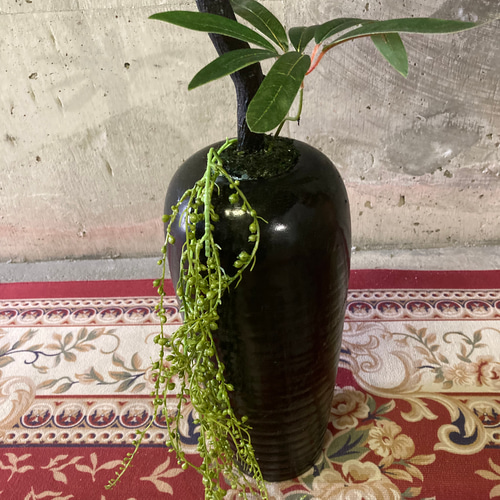 光触媒　人工観葉植物　ウォールグリーン　フェイクグリーン　シェフレア12846 光触媒 人工観葉植物 ウォールグリーン フェイクグリーン
