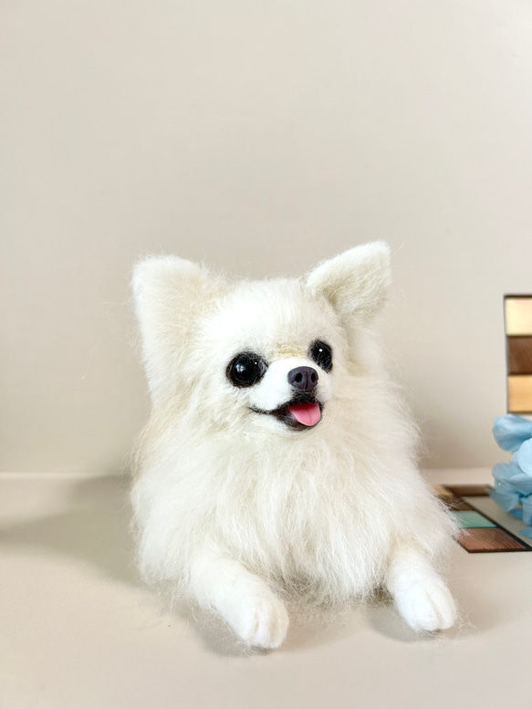 限定数のみ！ 羊毛フェルト ケース付き ふせをするチワワ ちゃん 匿名
