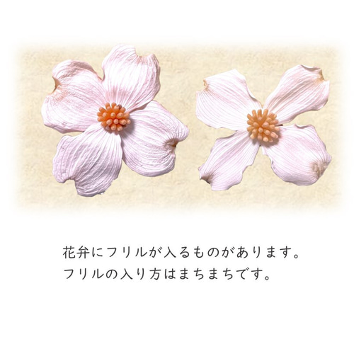 入荷しました！【ハナミズキ】水色 プリザーブドフラワー