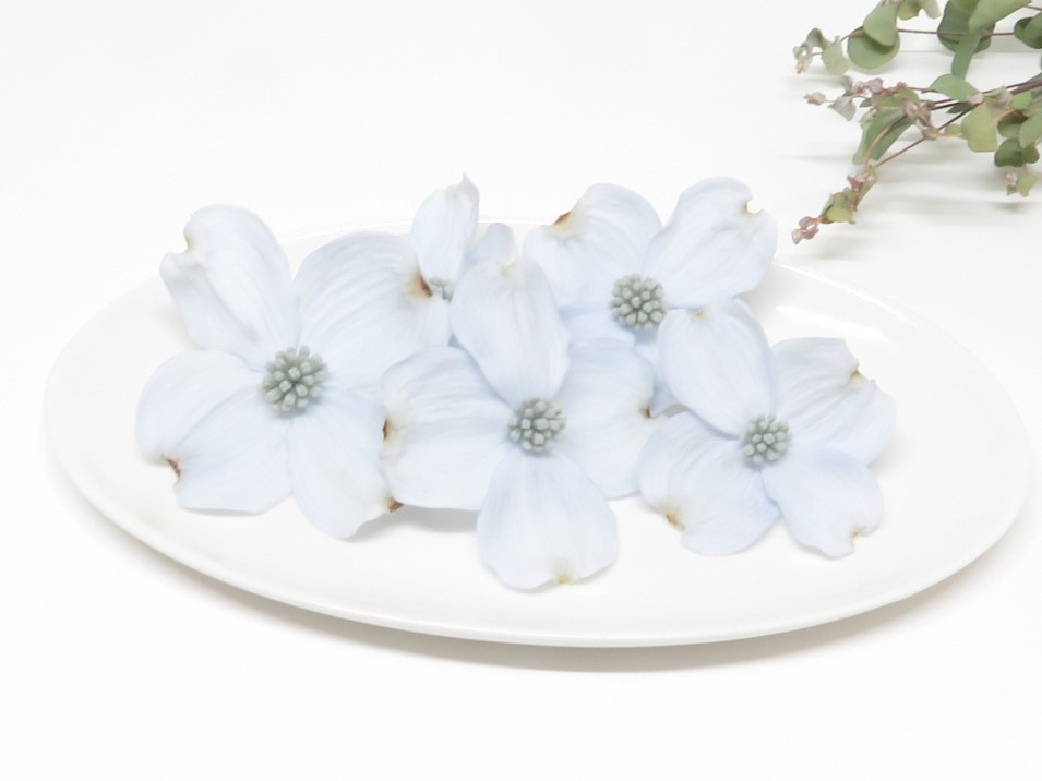 藍染 手作り ハナミズキ ハンドメイド 花水木タペストリー