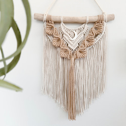 06a58799e206d9a219975d792b7433