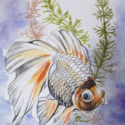 水彩画 金魚 絵画 makochin 通販 15897261｜Creema(クリーマ)