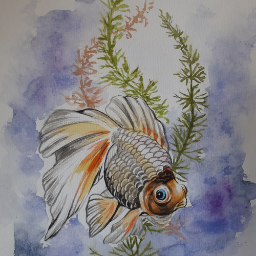 水彩画 金魚 絵画 makochin 通販 15897261｜Creema(クリーマ)