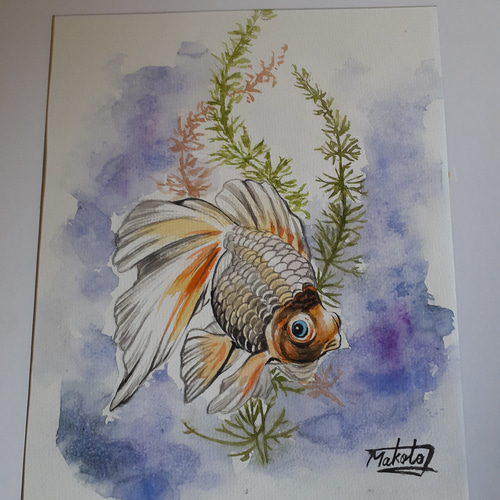 水彩画 金魚 絵画 makochin 通販 15897261｜Creema(クリーマ)