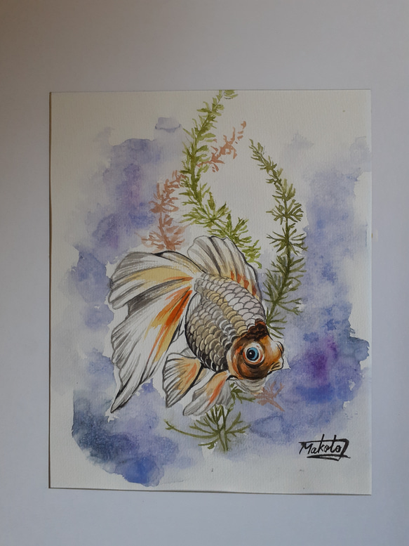 水彩画 金魚 絵画 makochin 通販 15897261｜Creema(クリーマ)