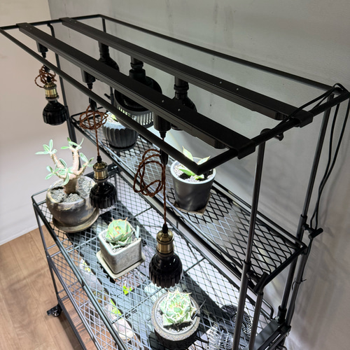 植物棚 ライティングレール ボタニカルシェルフ アイアンシェルフ 植物