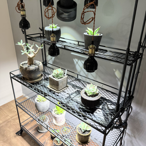 1台限定！　塗装前完成品　アイアン　ミニ植物棚　塗装後発送！ mini植物棚 （ダクトレール付き） 棚・シェルフ・ラック limiron