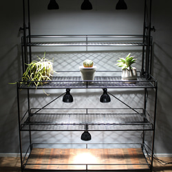 植物棚　ライティングレール　ボタニカルシェルフ　アイアンシェルフ　植物育成ライト　塊根植物棚　 6枚目の画像