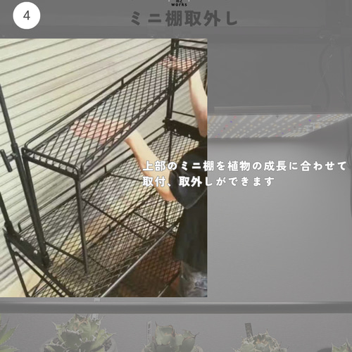 植物棚 ライティングレール ボタニカルシェルフ アイアンシェルフ 植物