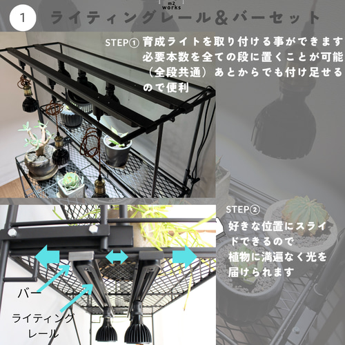 植物棚 ライティングレール ボタニカルシェルフ アイアンシェルフ 植物