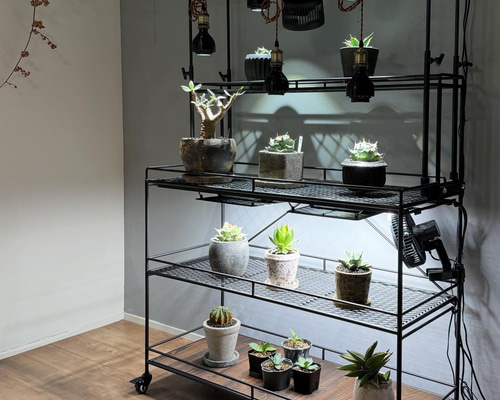 植物棚 ライティングレール ボタニカルシェルフ アイアン