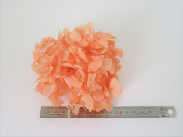 【アジサイ】キャロットオレンジ　小分け　プリザーブドフラワー 4枚目の画像