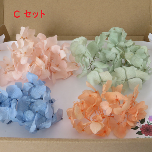 プリザーブドフラワー　アジサイ　大量　セット プリザーブドフラワー アジサイセット④ アジサイ】ソフト 4色アソート