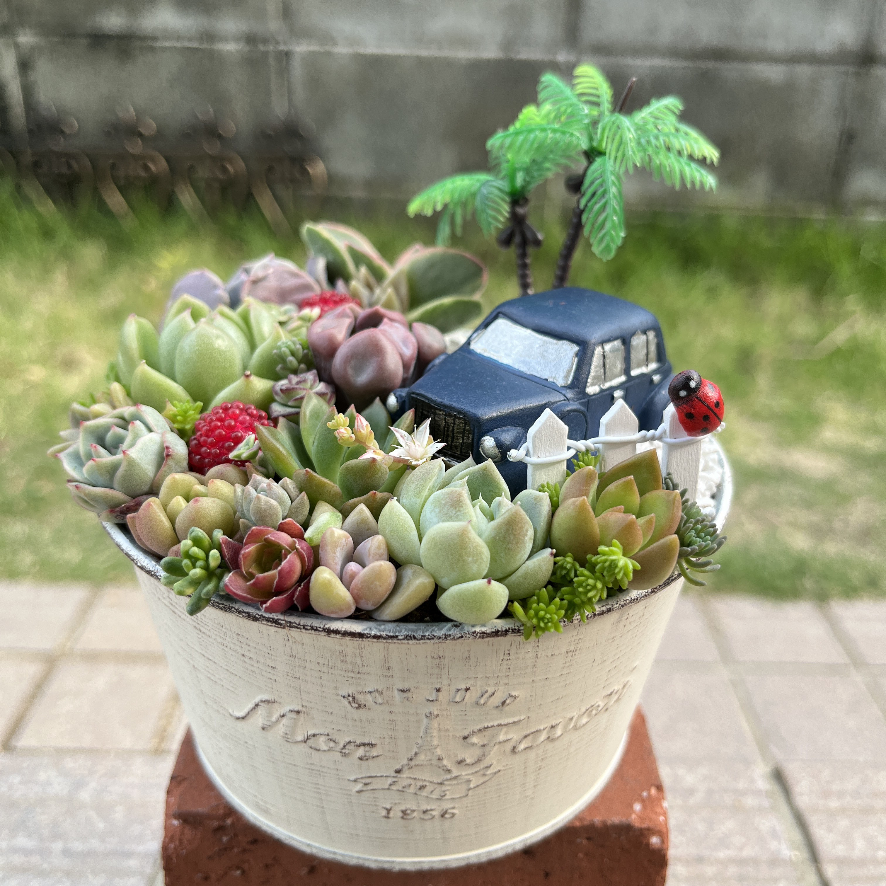 多肉植物の寄せ植え♡ナチュラルガーデン♡小さな箱庭