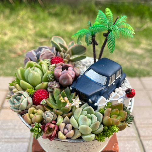 多肉植物の寄せ植え♡ナチュラルガーデン♡そのまま飾れる箱庭風