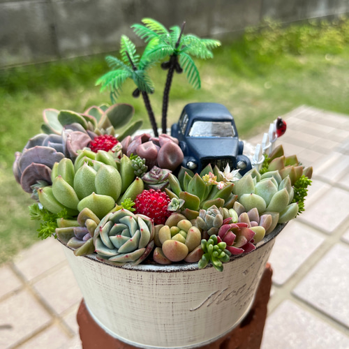 多肉植物の寄せ植え♡ナチュラルガーデン♡そのまま飾れる箱庭風