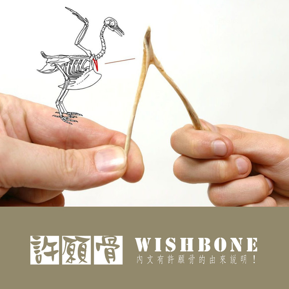 手工繞線鍛敲 14Kgf 包金許願骨 Wishbone 裸感項鍊 鎖骨鍊 第8張的照片