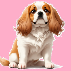 キャバリア　ドライ　Tシャツ　２　ペット　イラスト　グッズ　犬　Cavalier dog dry T-shirt 2枚目の画像