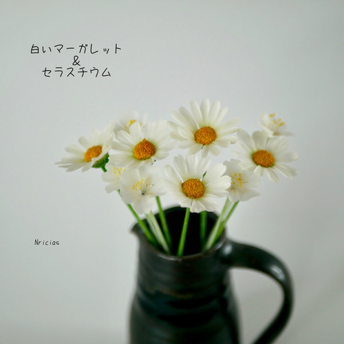 d0622243993a963742b428bc89532c