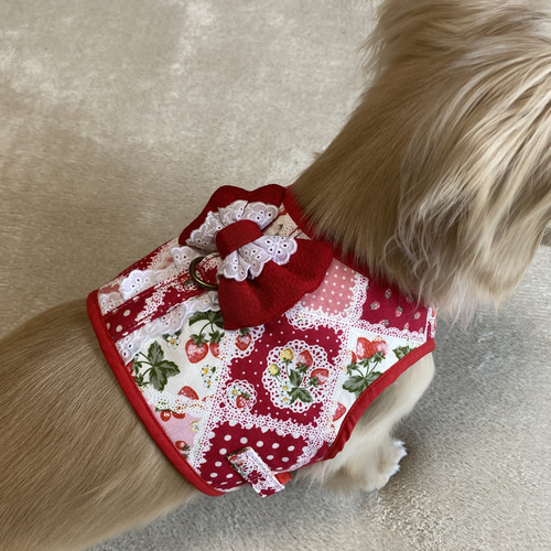 犬服ハンドメイド♡くまレオちゃん 612bdb57ce02dac8647b7ea0aa9621
