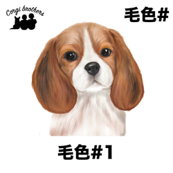 【 ビーグル 水彩画風 毛色1色 】 Tシャツ　おしゃれ　かわいい　犬　ペット　うちの子　プレゼント　ギフト 6枚目の画像