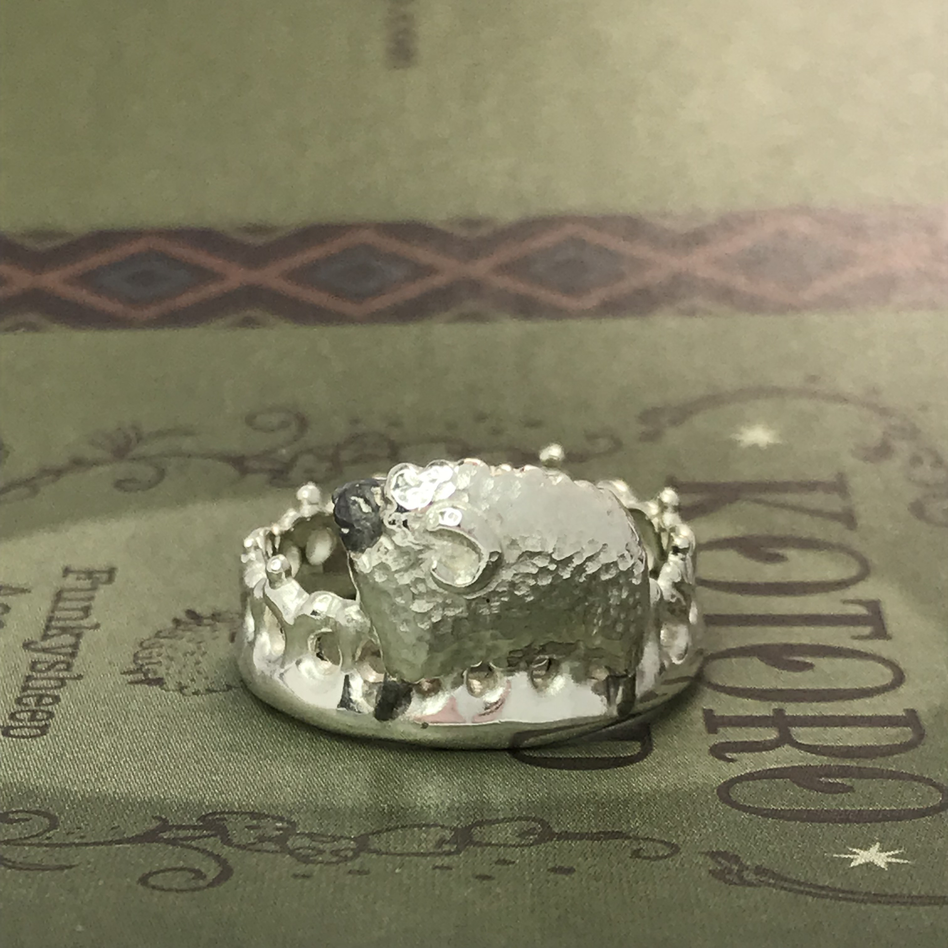 コトロは今日も行く