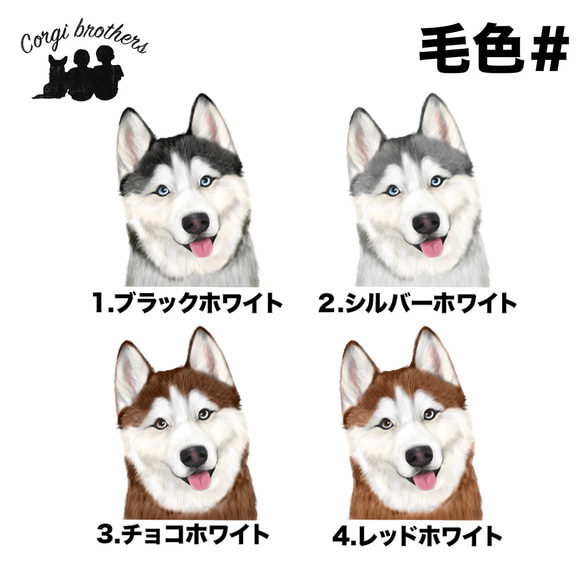 【 シベリアンハスキー 水彩画風 毛色4色 】 Tシャツ　おしゃれ　かわいい　犬　ペット　うちの子　プレゼント　ギフト 5枚目の画像