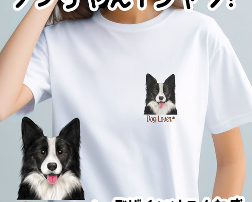 PET226】ボーダーコリー犬 いぬの絵 ほど遠く