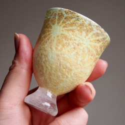  第6張的照片