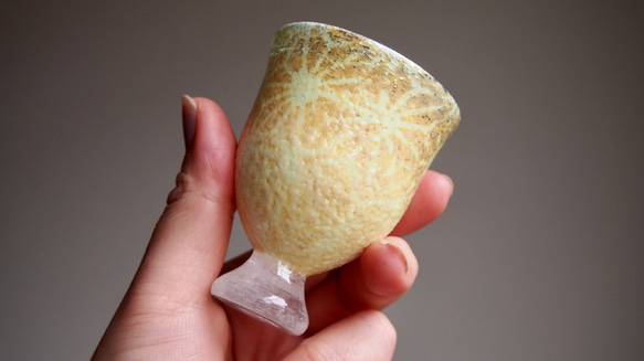  第6張的照片