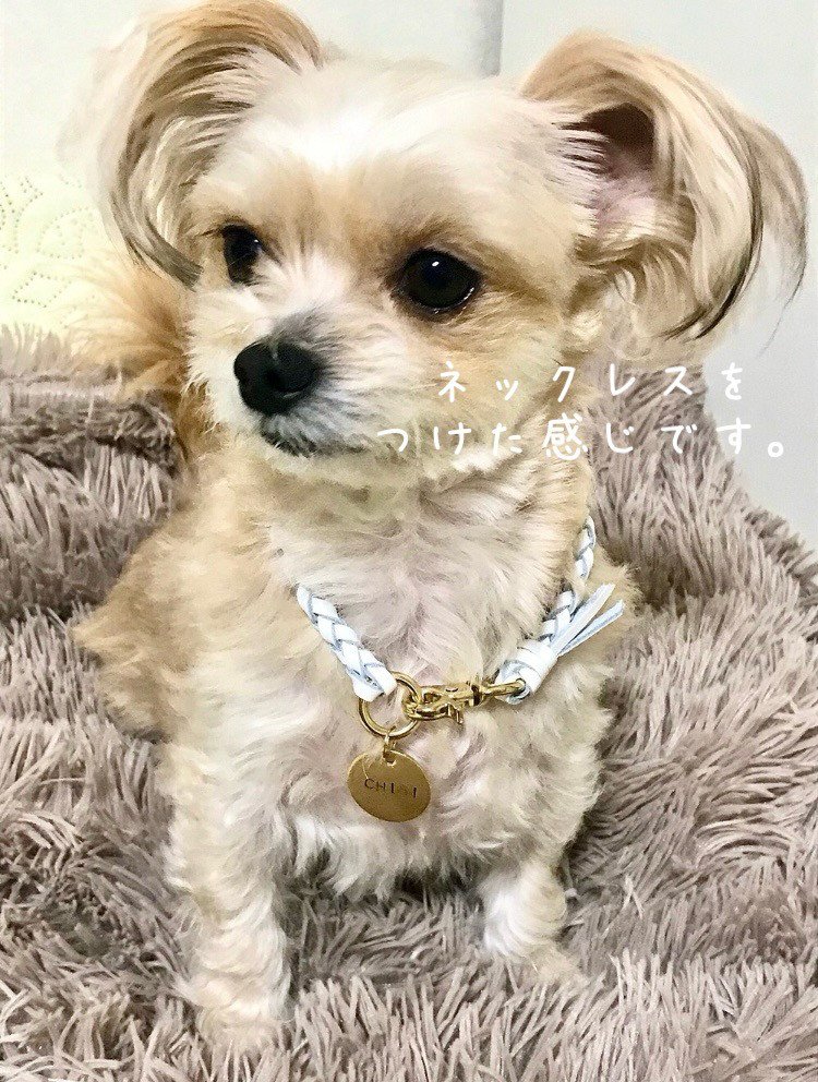 2個　真鍮ネームタグ付き首輪チョーカー、ネックレス　革レザー