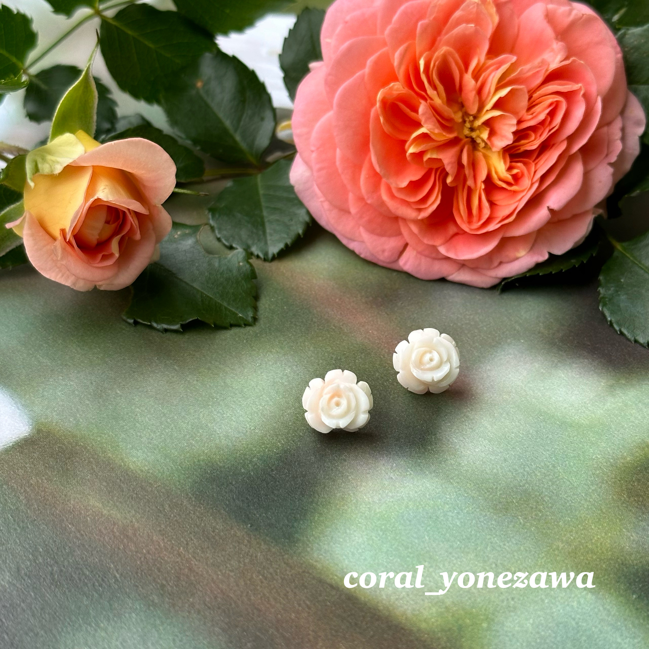 珊瑚の白薔薇ピアス　ポストチタン　R50513Y1