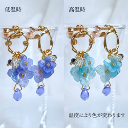 色が変わる紫陽花イヤリング/ピアス ٭❀* 淡いグラデーション 揺れる大人可愛い耳飾り 華やか 軽い 4枚目の画像