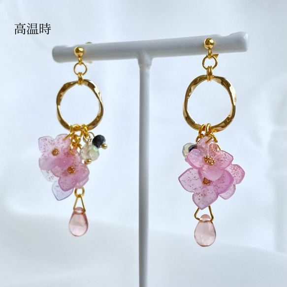 色が変わる紫陽花イヤリング/ピアス ٭❀* 淡いグラデーション 揺れる大人可愛い耳飾り 華やか 軽い 6枚目の画像