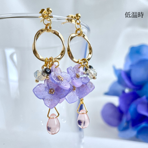 色が変わる紫陽花イヤリング/ピアス ٭❀* 淡いグラデーション 揺れる大人可愛い耳飾り 華やか 軽い 9枚目の画像