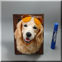 bf28f02126d09d19a66ab5c5f07298