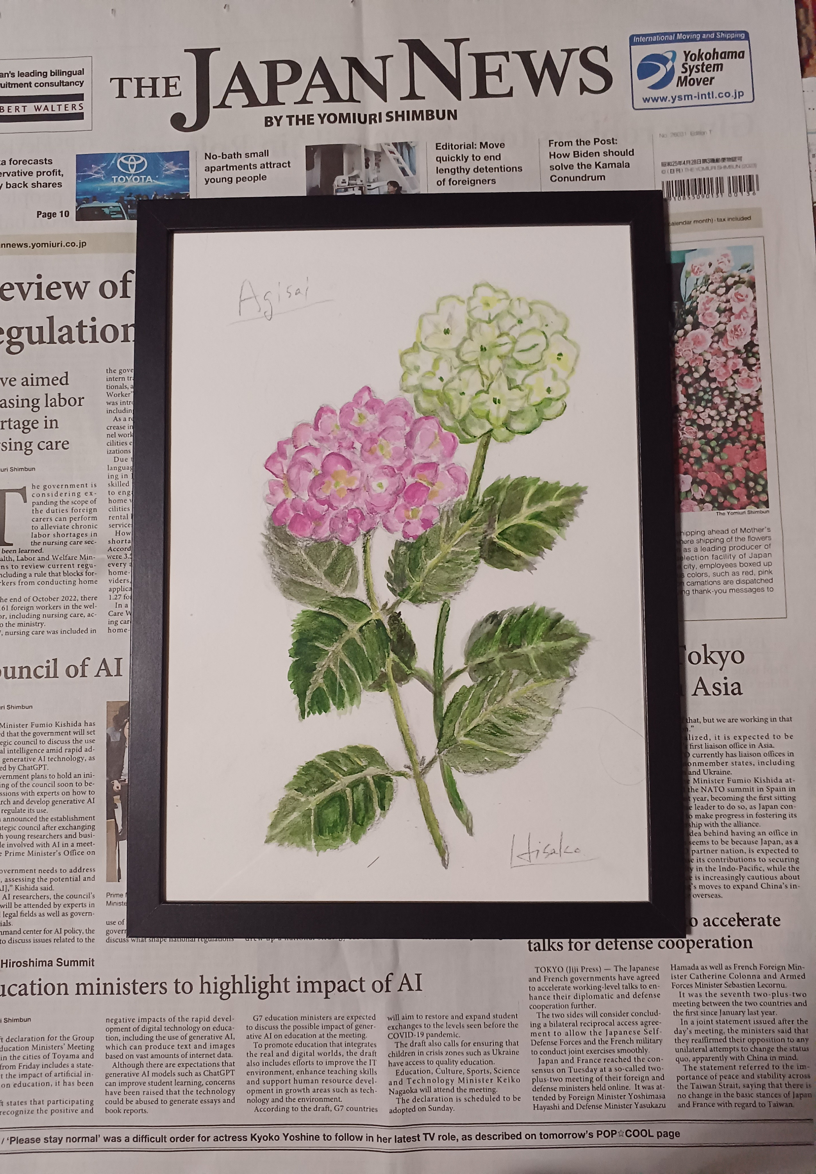 紫陽花A4 水彩 スケッチ 最近の保田三友紀の作品高級水彩紙使用