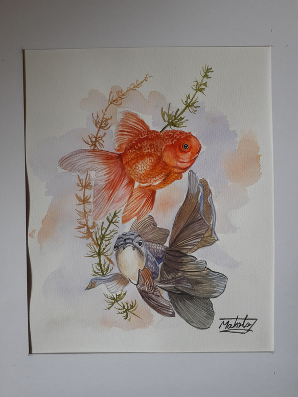水彩画 金魚 絵画 makochin 通販 15901426｜Creema(クリーマ)