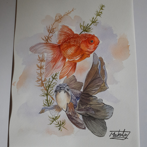 水彩画 金魚 絵画 makochin 通販 15901426|Creema(クリーマ) 水彩画 金魚 絵画 makochin 通販 15901426|Creema(クリーマ)