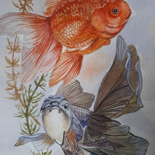 水彩画 金魚 絵画 makochin 通販 15901426｜Creema(クリーマ)