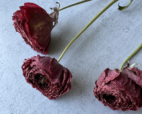 5c286aea82d0f3902ddc81c12492ad