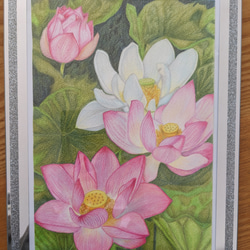 ダリア 絵画 miho 通販 16798877｜Creema(クリーマ)