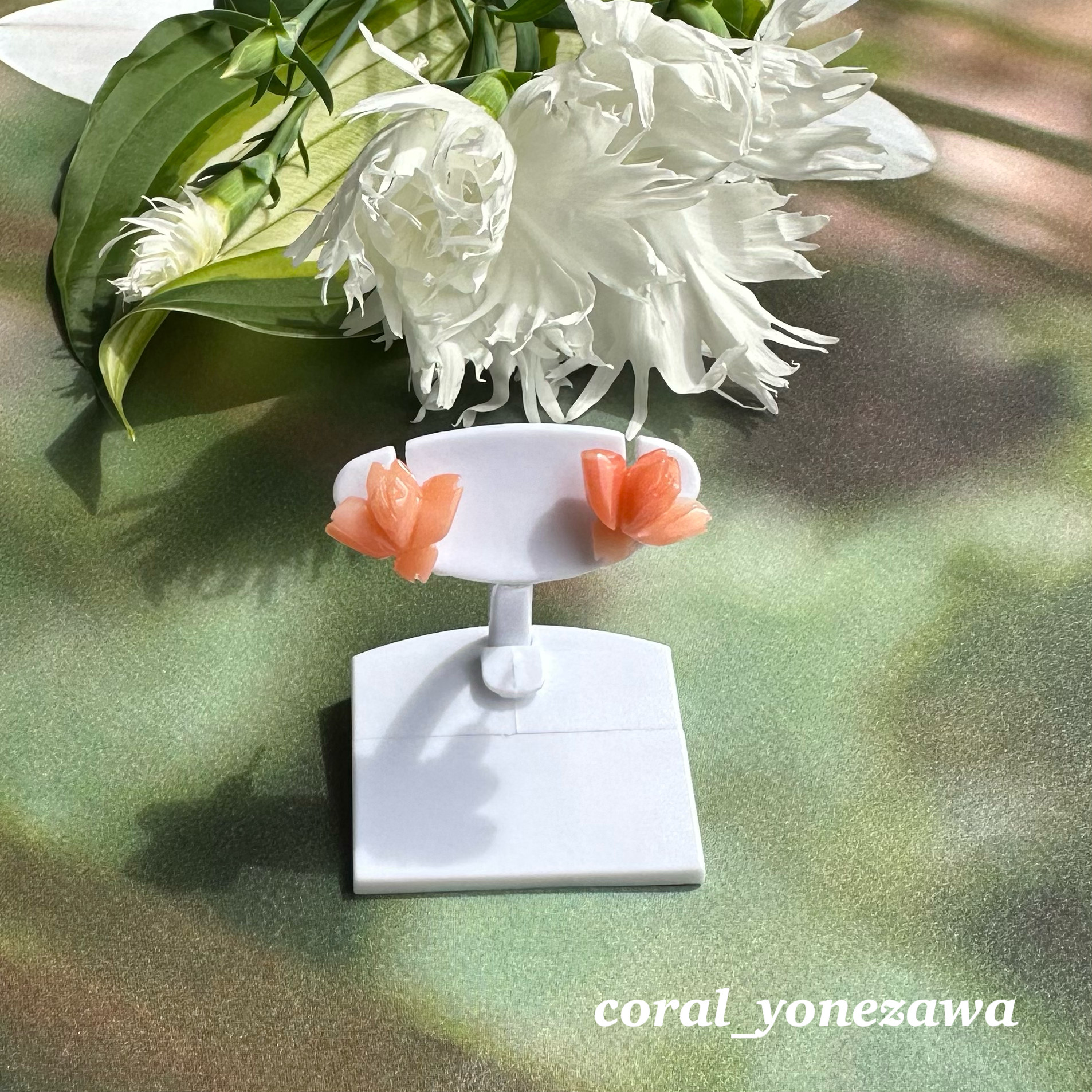 珊瑚の薔薇ピアス　ピンク珊瑚　ポストチタン　R50513H1